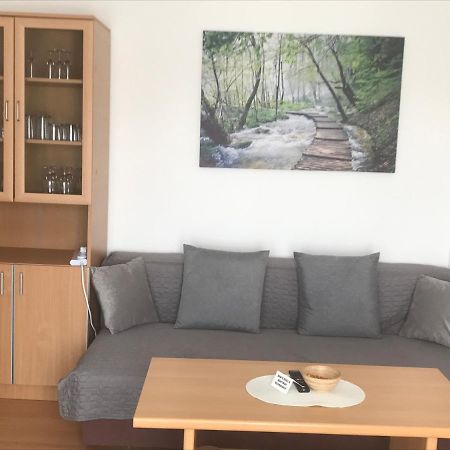 Apartmani Kuzmanovic Stan Na Dan Doboj Exterior photo